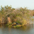 DSCF0052 (2).JPG