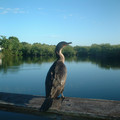 DSCF0053.JPG