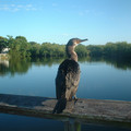 DSCF0054.JPG