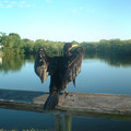 DSCF0055.JPG