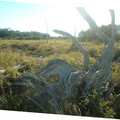 DSCF0055b.jpg