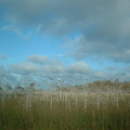 DSCF0056 (2).JPG