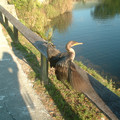 DSCF0056.JPG