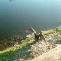 DSCF0057.JPG