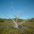 DSCF0057_800.jpg