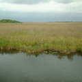 DSCF0058 (2).JPG