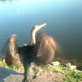 DSCF0058.JPG