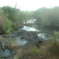 DSCF0060.JPG