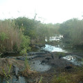 DSCF0063.JPG