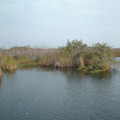 DSCF0063b.jpg