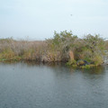 DSCF0064 (2).JPG
