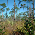 DSCF0064.JPG