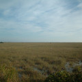 DSCF0065 (2).JPG