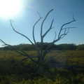 DSCF0065.JPG