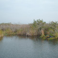 DSCF0066b.jpg