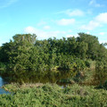 DSCF0067 (2).JPG