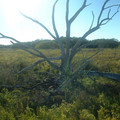 DSCF0067.JPG