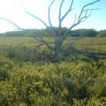 DSCF0068.JPG