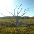 DSCF0069 (2).JPG