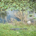 DSCF0069.JPG