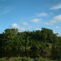 DSCF0070.JPG