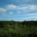 DSCF0072 (3).JPG