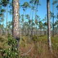 DSCF0073.JPG
