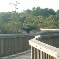 DSCF0074 (2).JPG