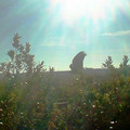 DSCF0077b.jpg