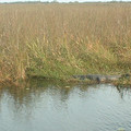 DSCF0080 (2).JPG