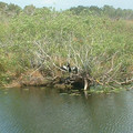 DSCF0080.JPG