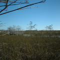 DSCF0081.JPG