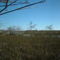 DSCF0081_950.jpg