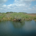 DSCF0082.JPG
