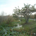 DSCF0082b.jpg