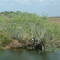 DSCF0084.JPG