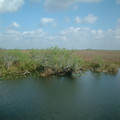 DSCF0086.JPG