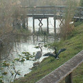 DSCF0088.JPG