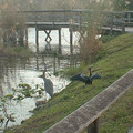 DSCF0089 (2).JPG