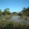 DSCF0089.JPG