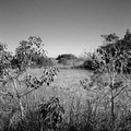 DSCF0089_r.jpg