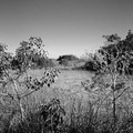 DSCF0089_r_1000.jpg