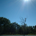 DSCF0095 (2).JPG