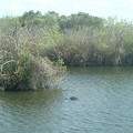 DSCF0114 (2).JPG