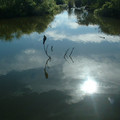 DSCF0114.JPG