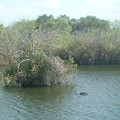 DSCF0115 (2).JPG