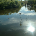 DSCF0115.JPG