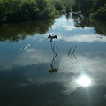 DSCF0117.JPG
