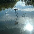 DSCF0118.JPG