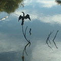 DSCF0119.JPG